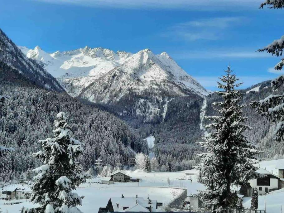 Chalet Rustico Bertolini Per Gruppi! Villa Vermiglio Exterior foto