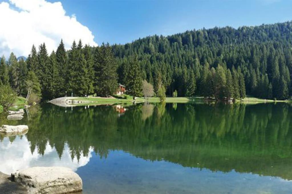 Chalet Rustico Bertolini Per Gruppi! Villa Vermiglio Exterior foto