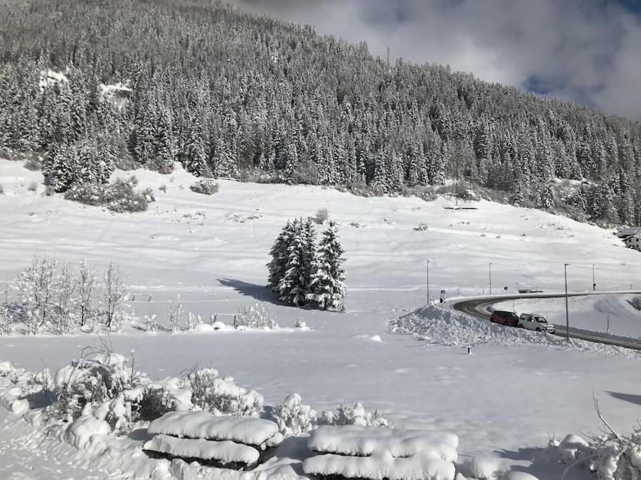 Chalet Rustico Bertolini Per Gruppi! Villa Vermiglio Exterior foto